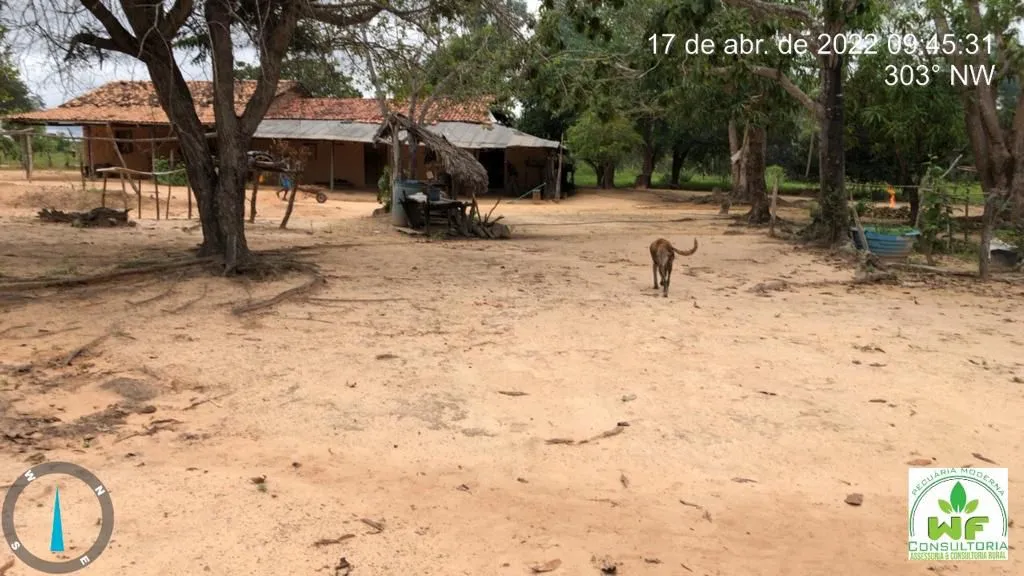 Vendo fazenda