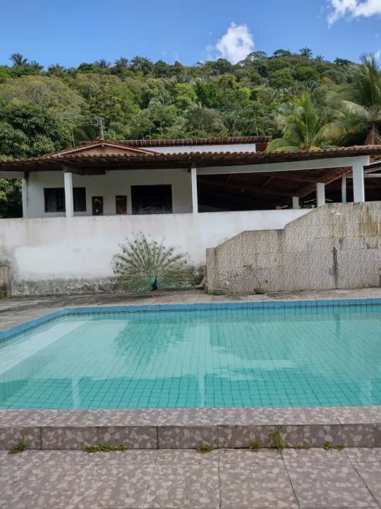 Fazenda em São Luiz, 160 hectares a 30 mil o hectar - Foto 3