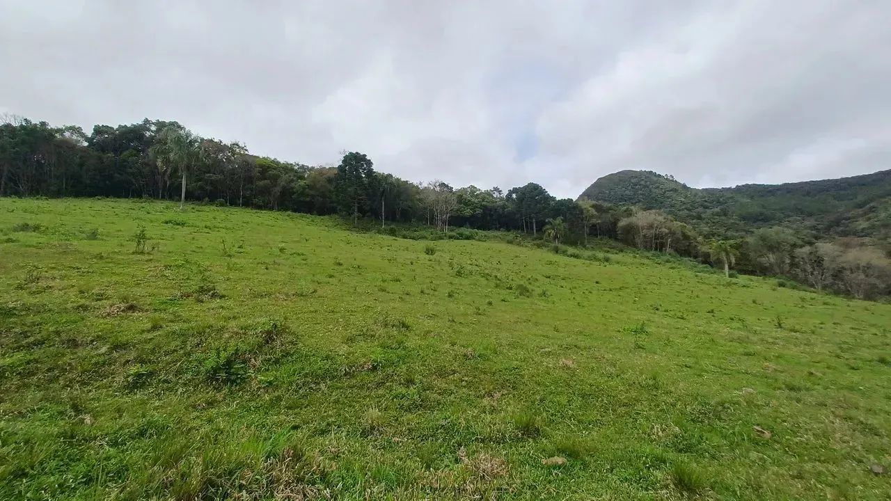 Fazenda/Sítio/Chácara para venda possui 20000 metros quadrados em Pedra Branca - Alfredo W - Foto 5