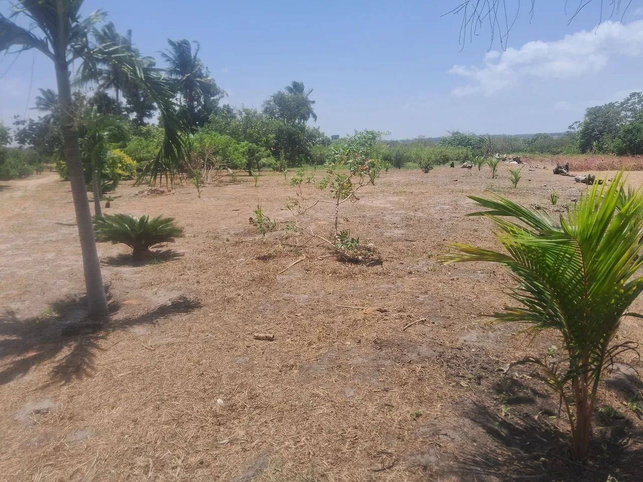 Oportunidade Sitio Próximo do Val Paraiso 8500m2 - Foto 5