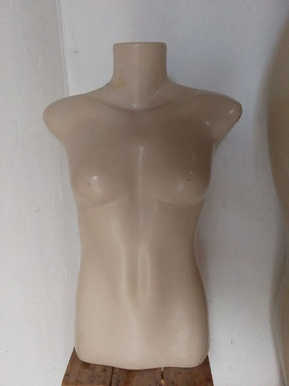 Mannequin Torso Feminino para Loja de Roupas