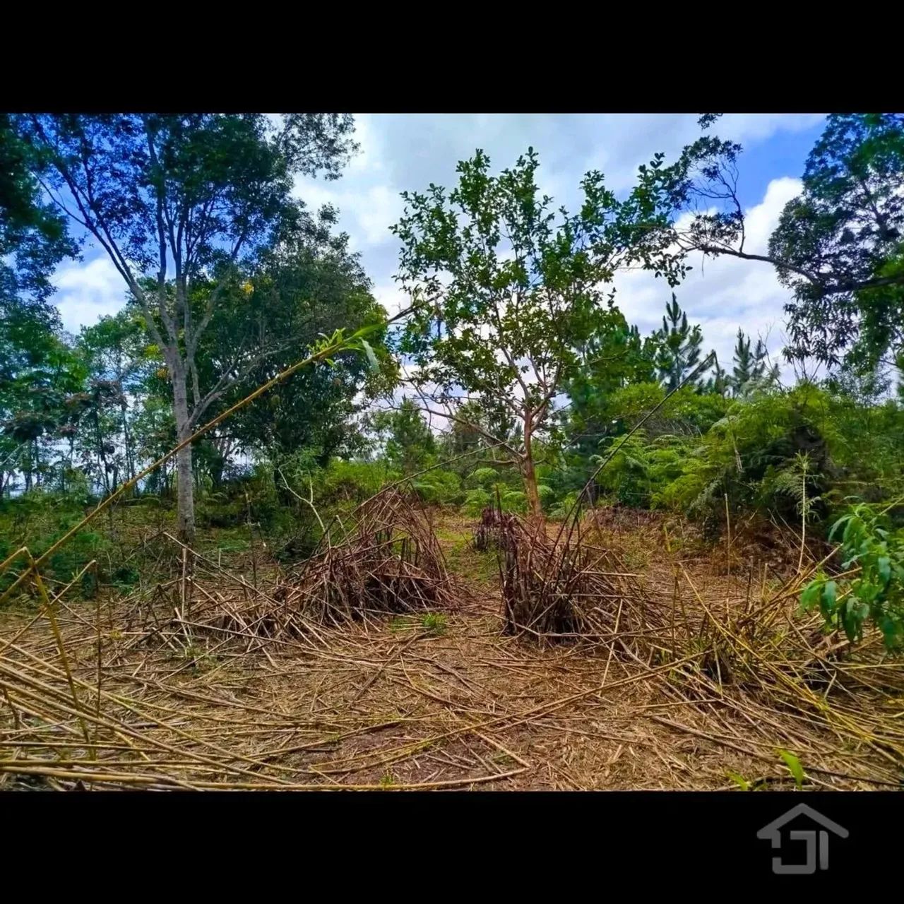 Chácara 37.710,00 m² com Escritura Registrada em Juquitiba-SP - Foto 5