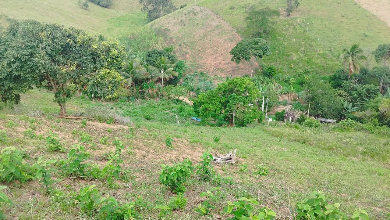 Vendo ou troco Área, sítio de 2.544 metros quadrados no distrito do Gomes - Itapemirim-ES - Foto 14