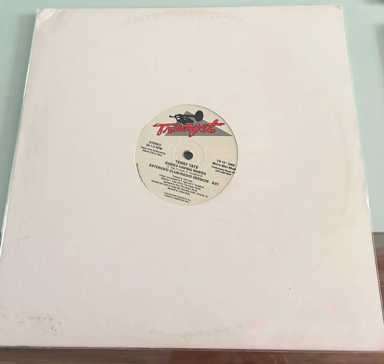 Disco de Vinil Terry Tate Babies having babies