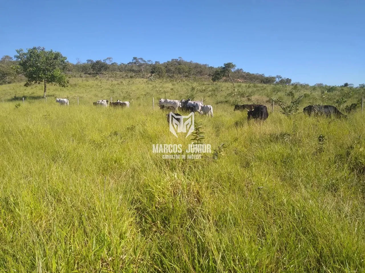 VENDO PROPRIEDADE DE 13 ALQUEIRES A 68 KM DE MONTES CLAROS DE OPORTUNIDADE