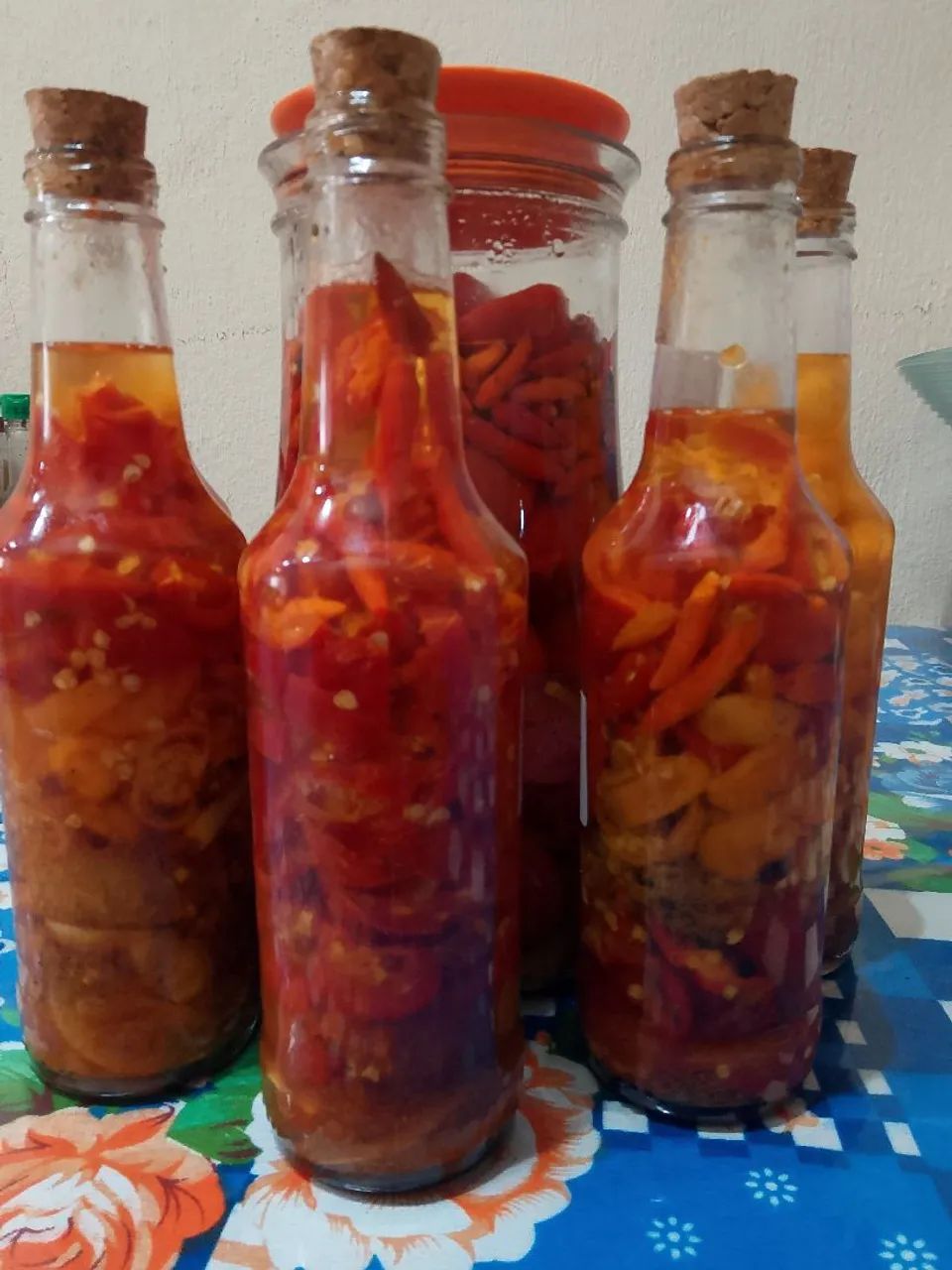 Pimentas caseiras da Rosana - Foto 2