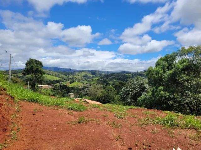 Lote no João Gote