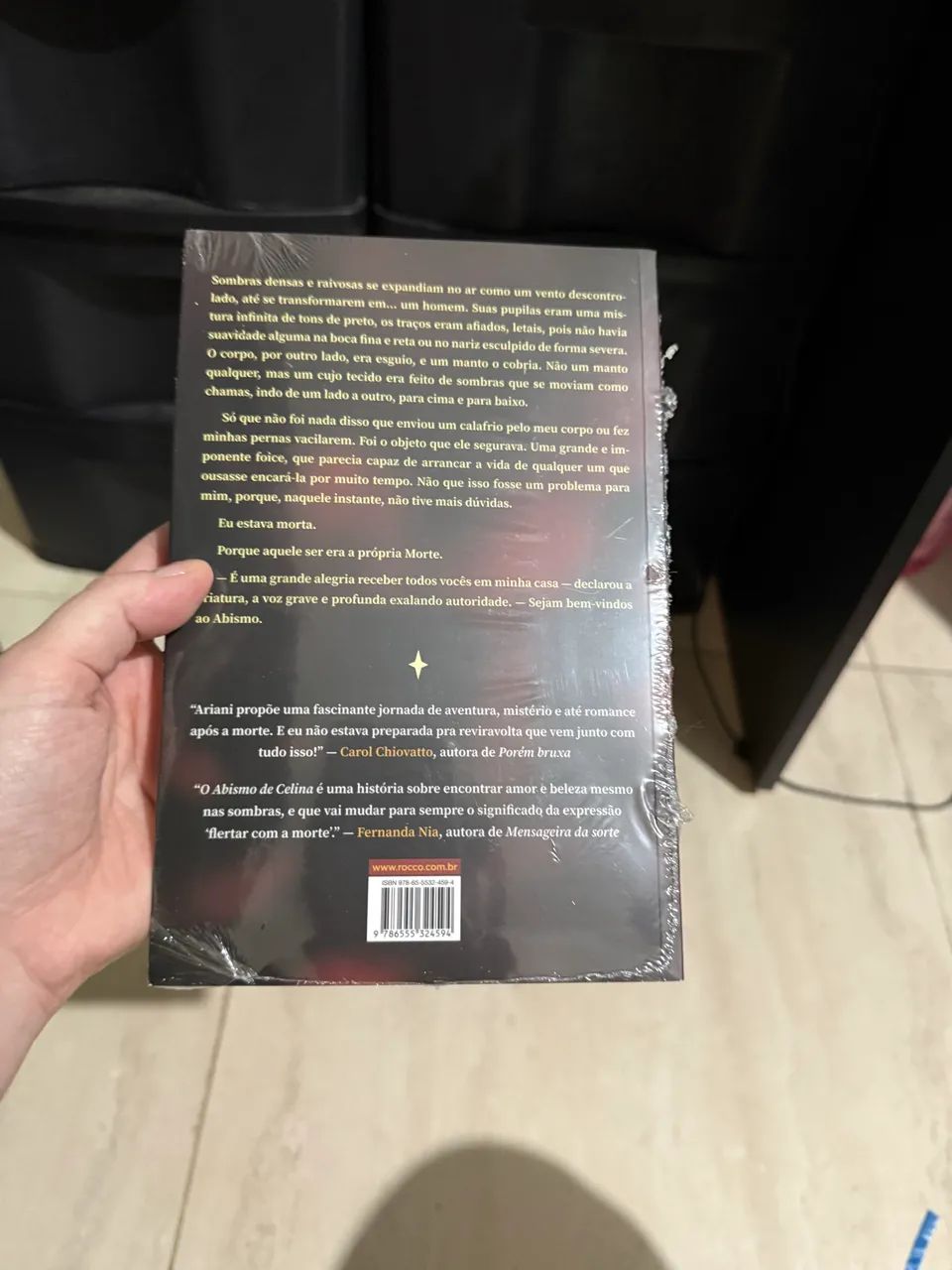 Livro Abismo de Celina  - Foto 2