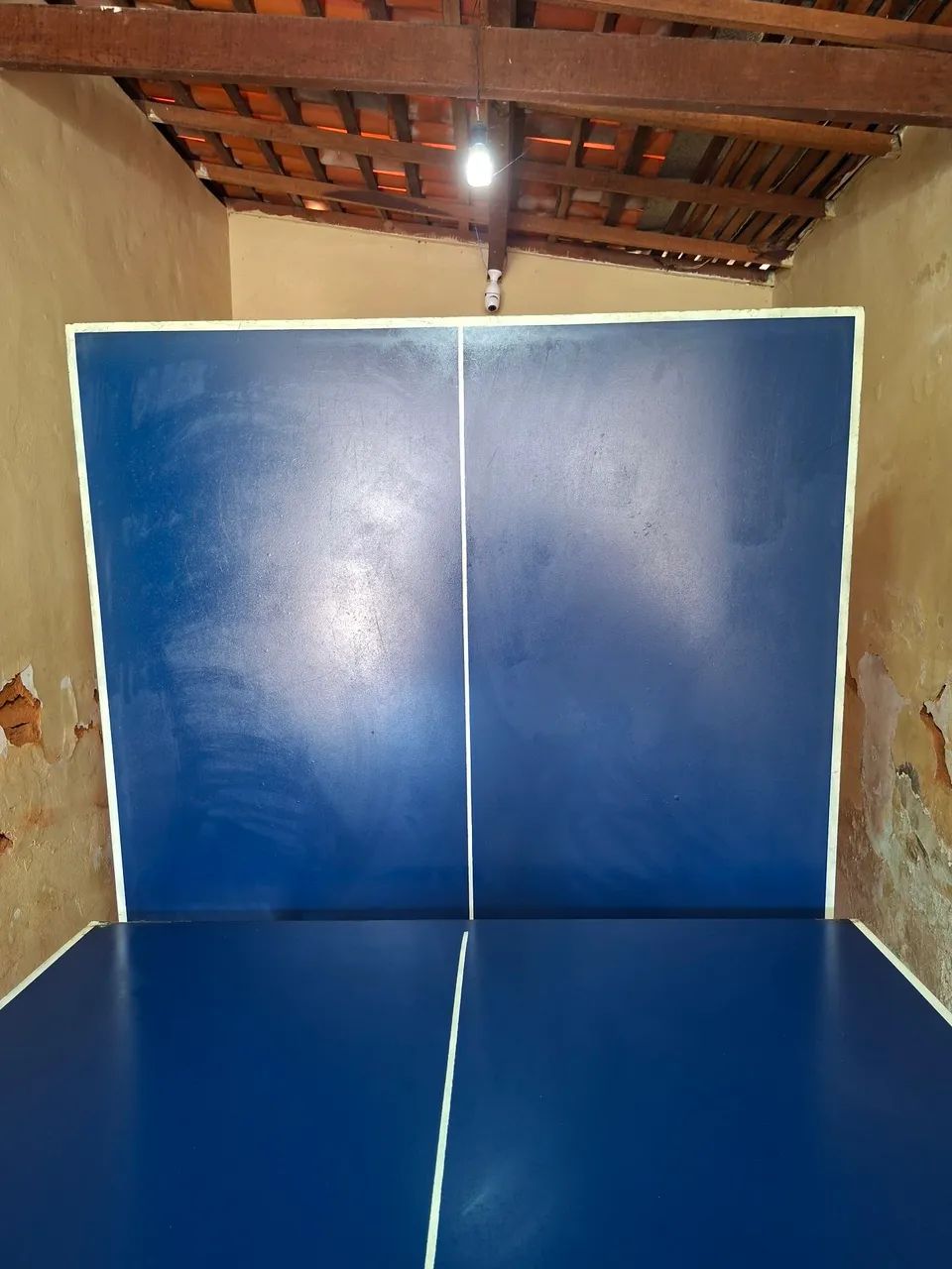 Mesa : Tenis de Mesa - Foto 4