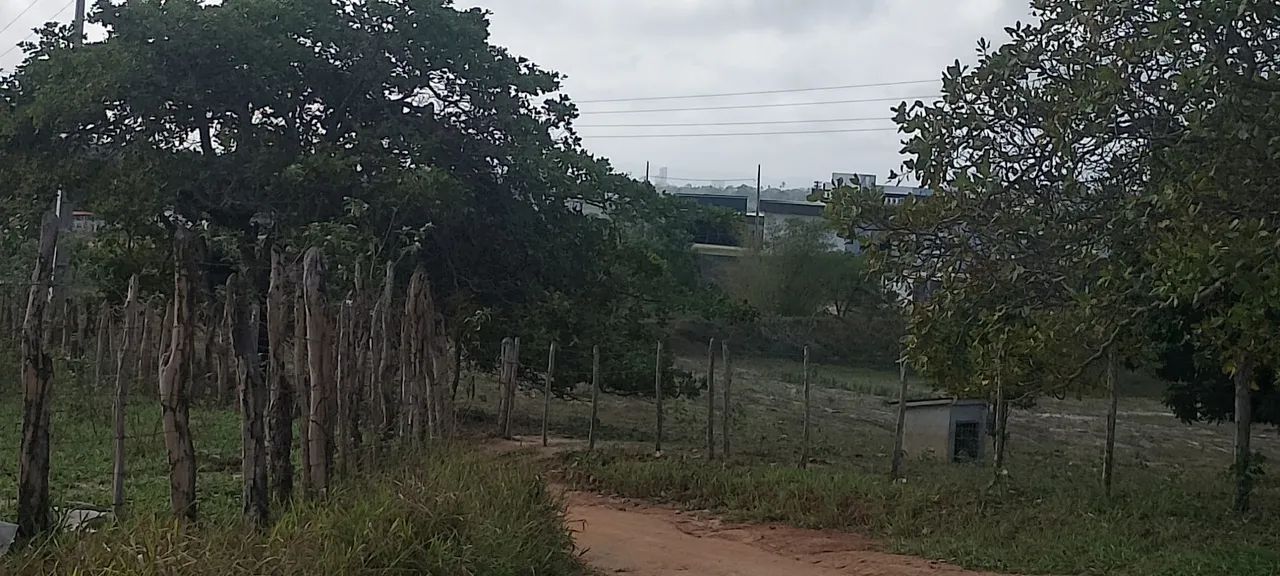 Terreno - Foto 2