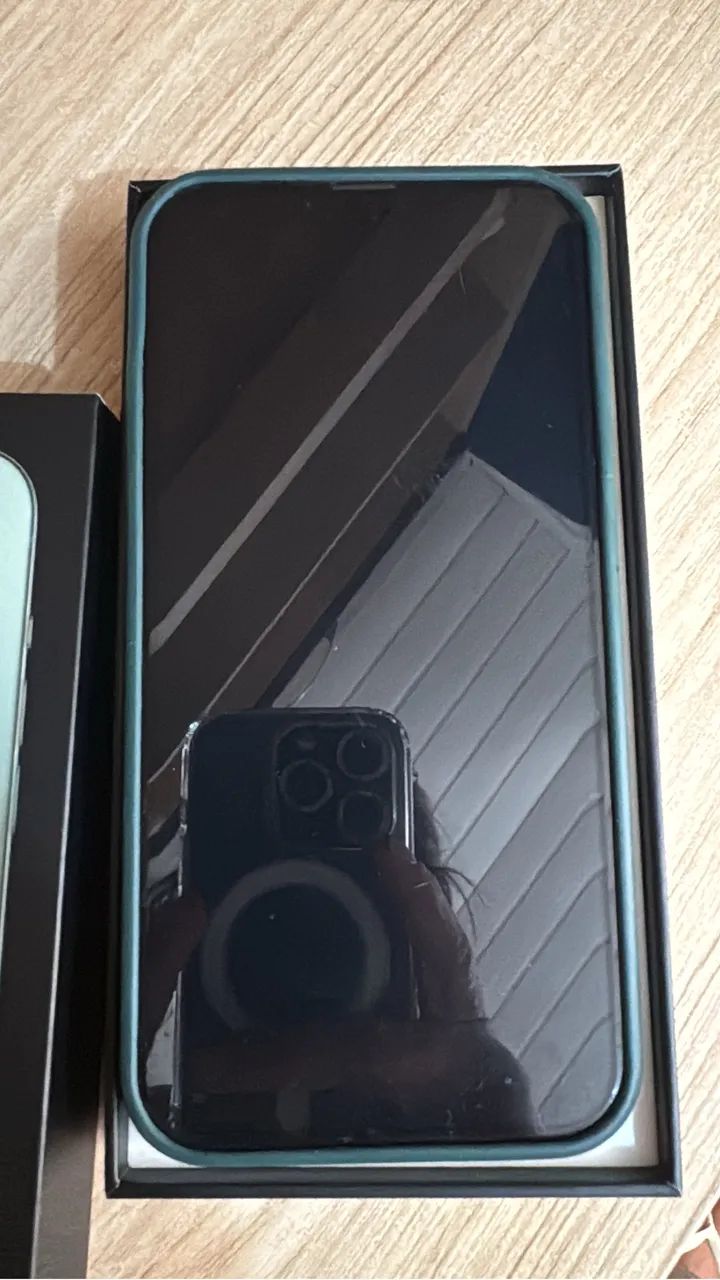 iPhone 13 Pro Max 256