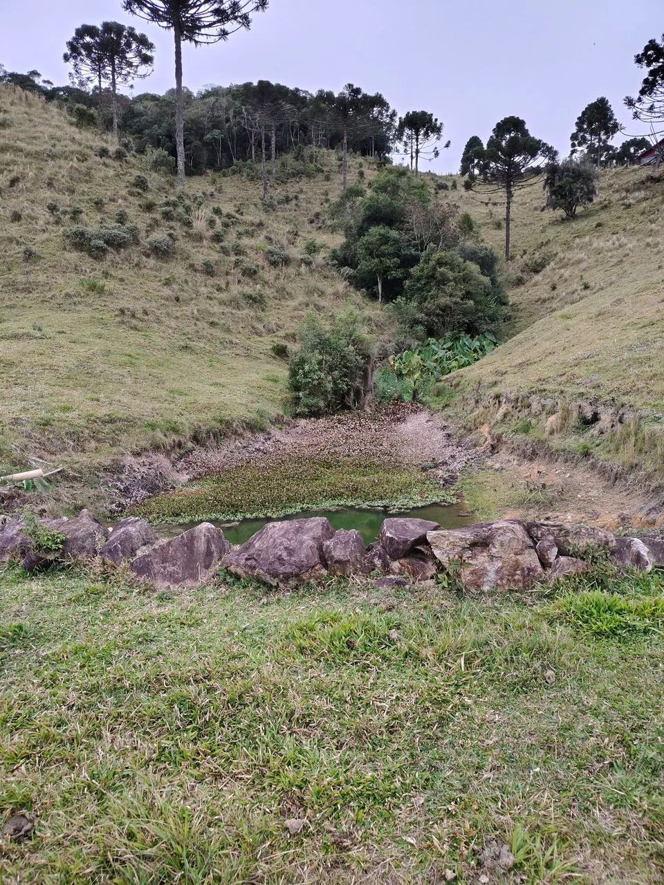 Terreno para sítio em Rancho Queimado - Foto 4