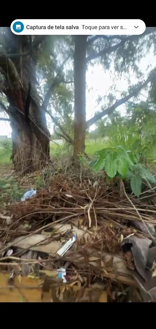 Foto - Atibaia - Boa Vista