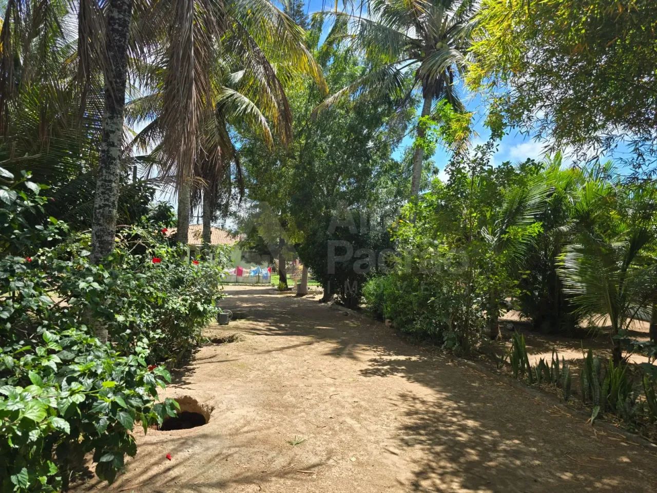 CHÁCARA COM 4 MIL M², Á VENDA EM GRAVATÁ-PE - Foto 3