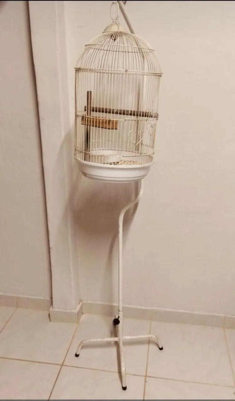 Gaiola de pé 