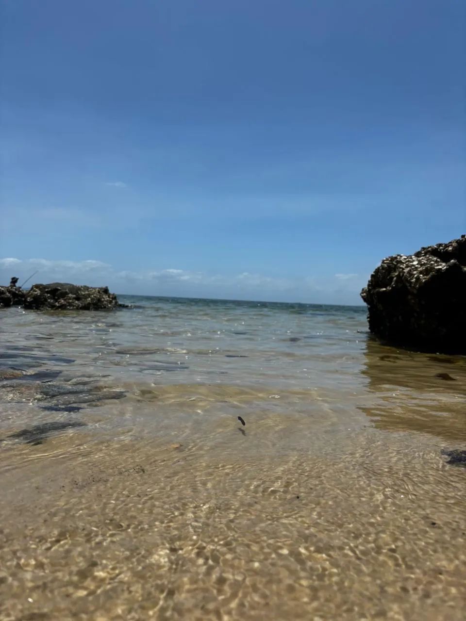 Terrenos e casa em área de praia - Foto 2