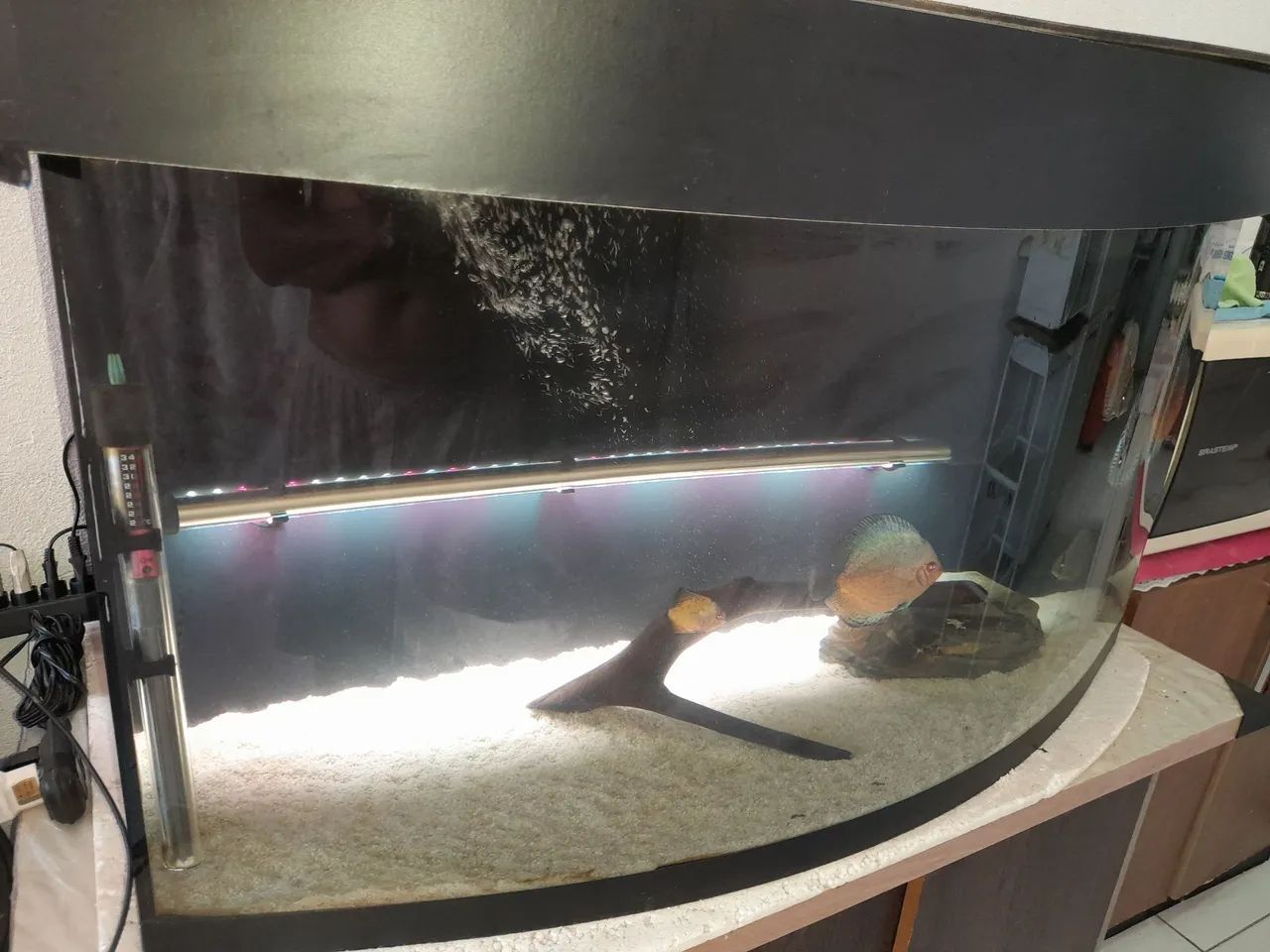 Aquário completo - Foto 2