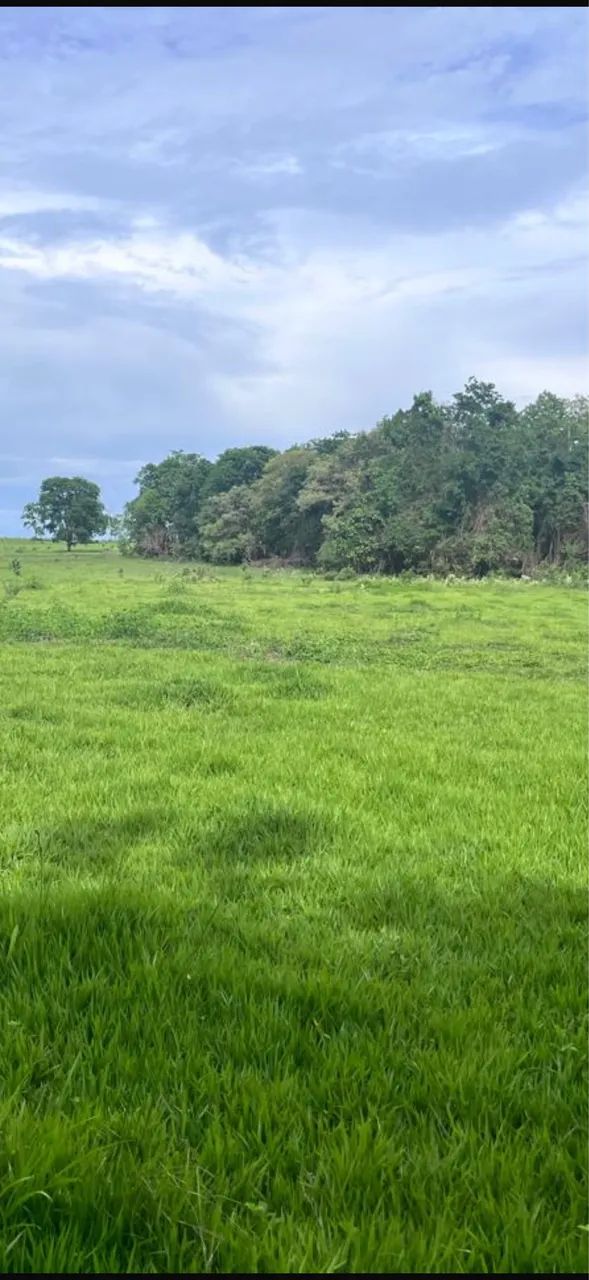 Fazenda só chega trabalhar pronta  - Foto 4