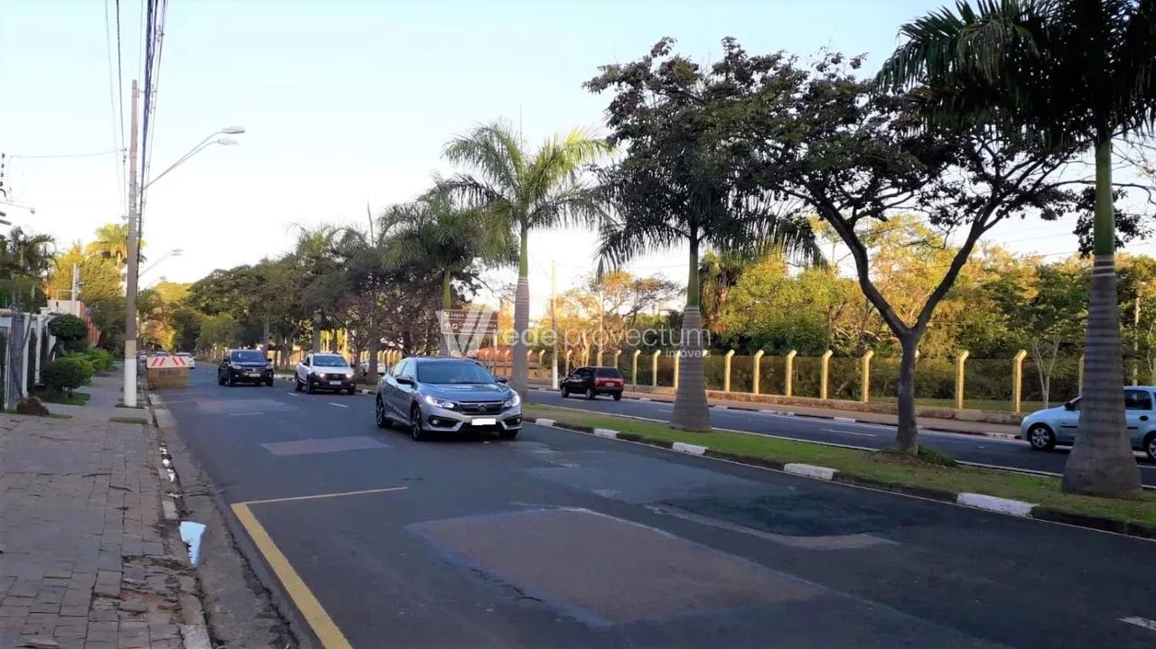 terreno - Taquaral - Campinas - Foto 3
