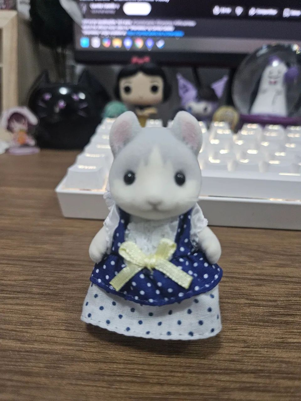 Gata curly ear e gatinha seda - Foto 2