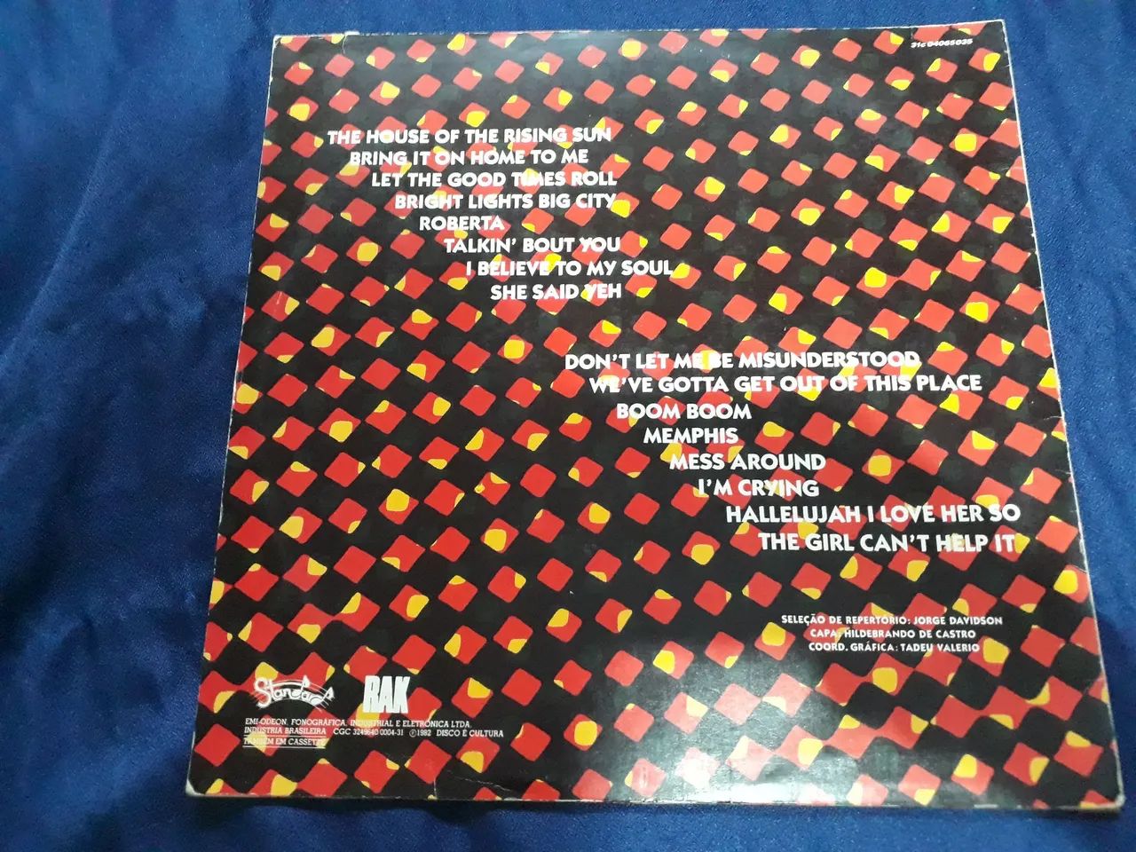 Disco the Animals - Foto 4