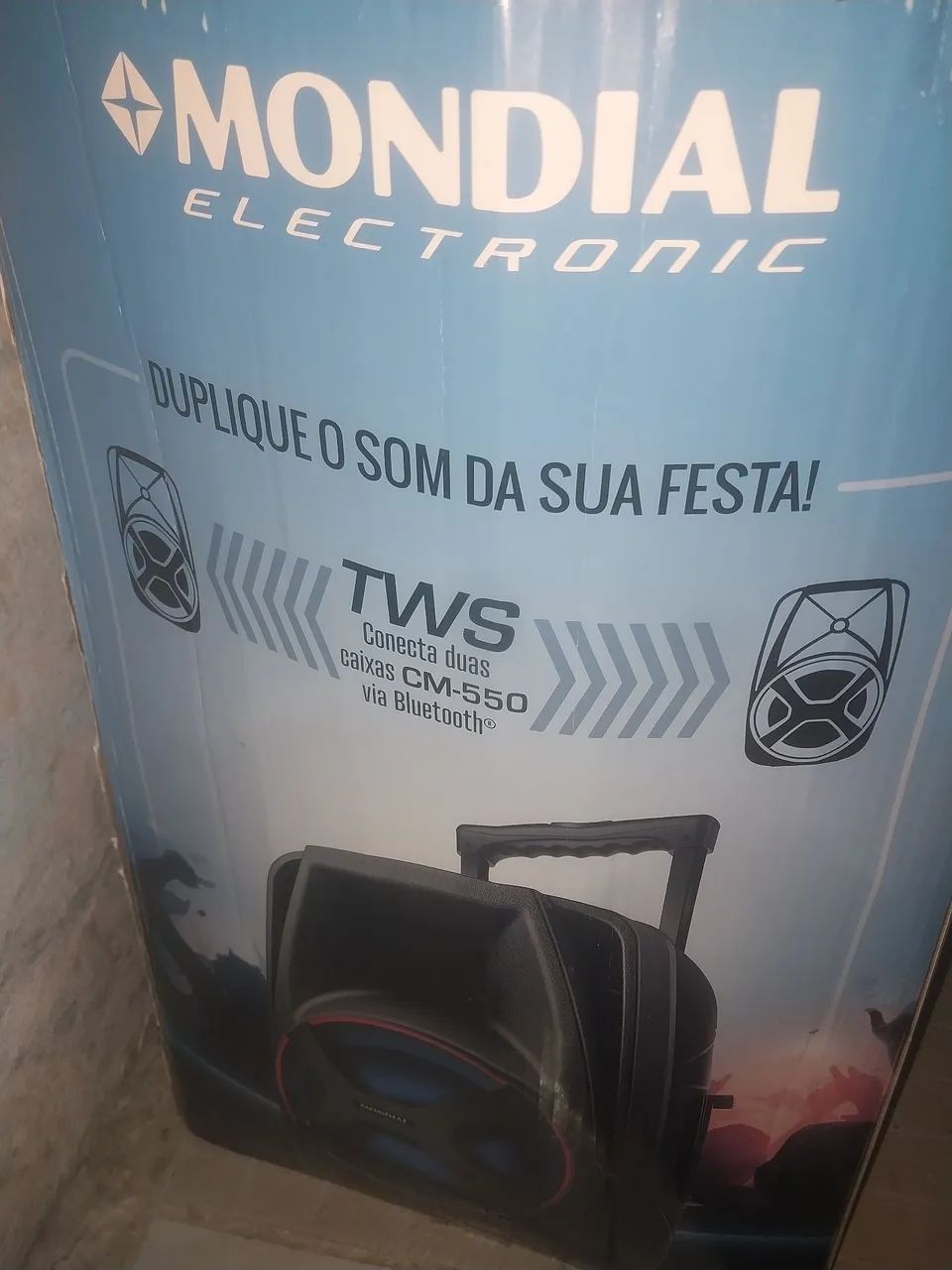 Carla Jesus Dos Santos 