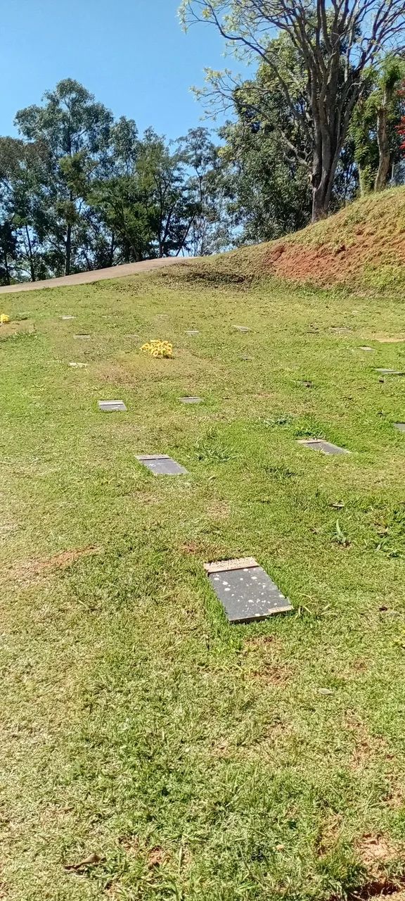 JAZIGO PERPÉTUO NO CEMITÉRIO PARQUE DA SAUDADE.  - Foto 4