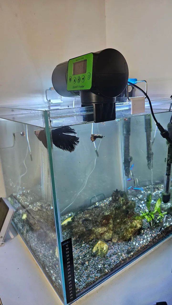 Aquário Cubo Completo 42 Litros  - Foto 2