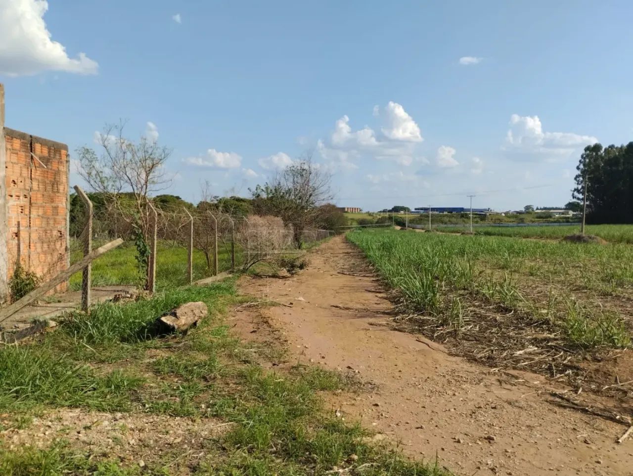 Rural Área em Ibaté - Foto 4