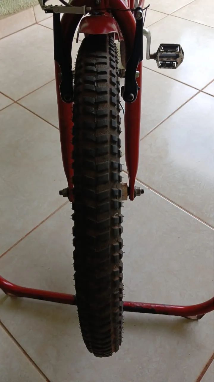 Bicicleta cargueira - Foto 4