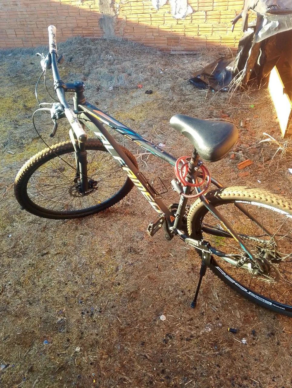 Bicicleta