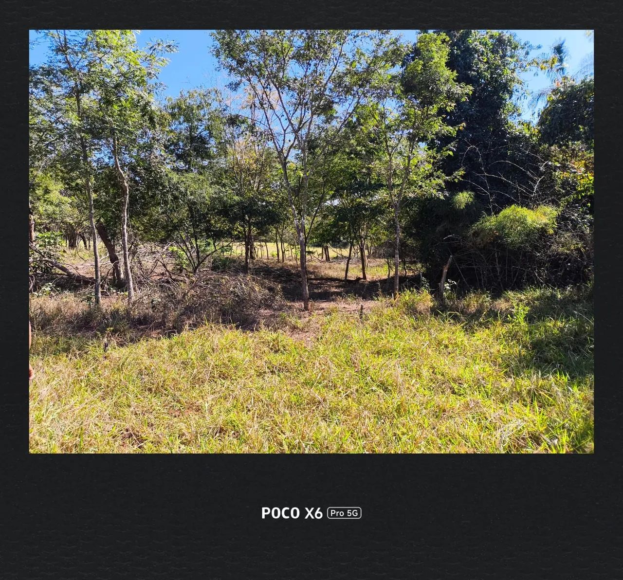 Paraíso a venda  - Foto 4