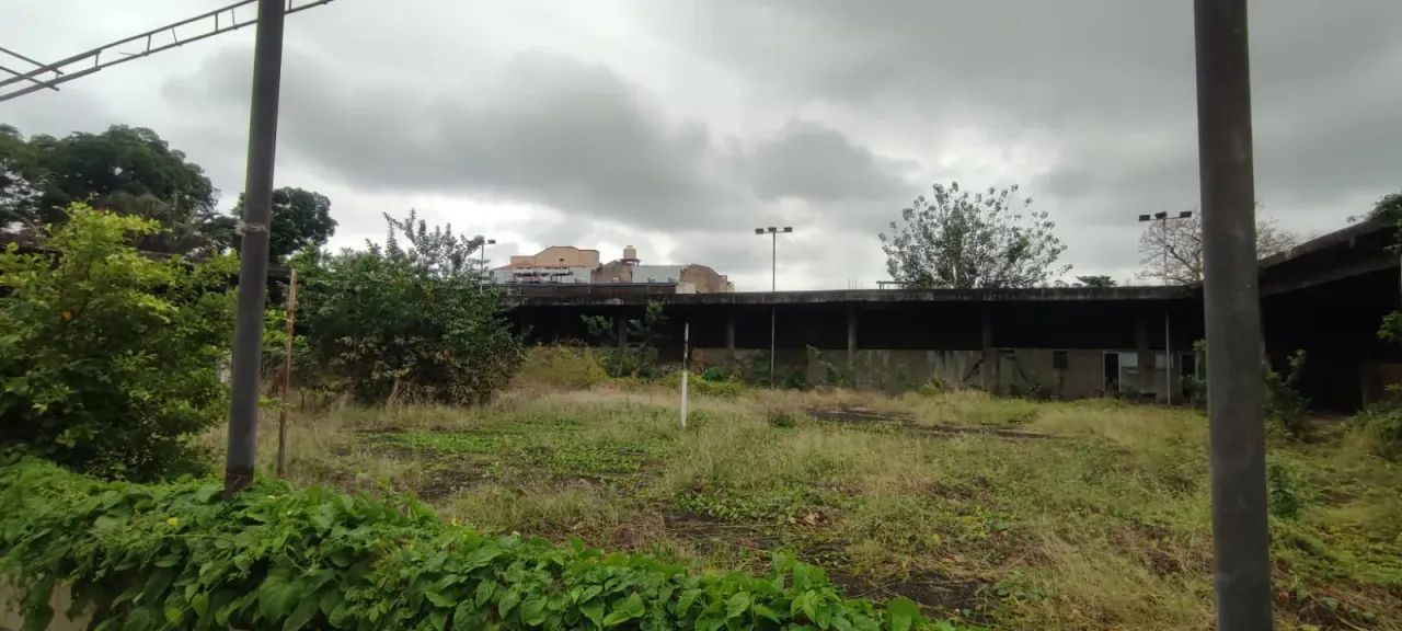 Pilares - Terreno Plano Com Galpão 3.500² - Foto 2