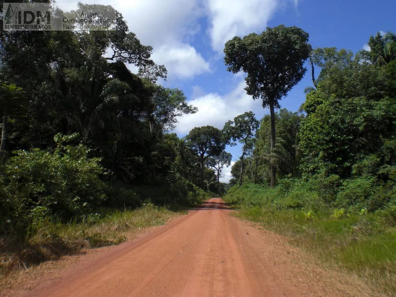 Área com 10.697 ha em Autazes - AM - Foto 4