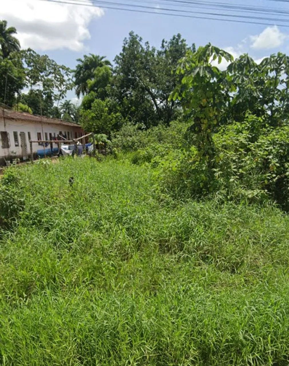 Foto - Castanhal - Apeú