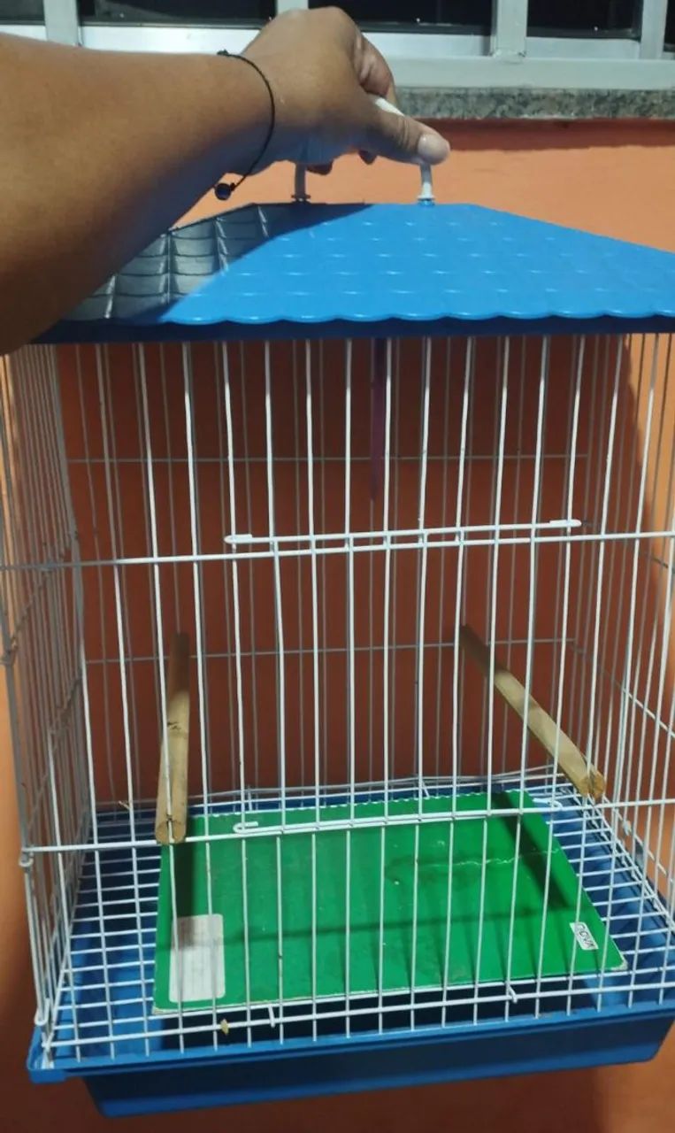 Gaiola  - Foto 2