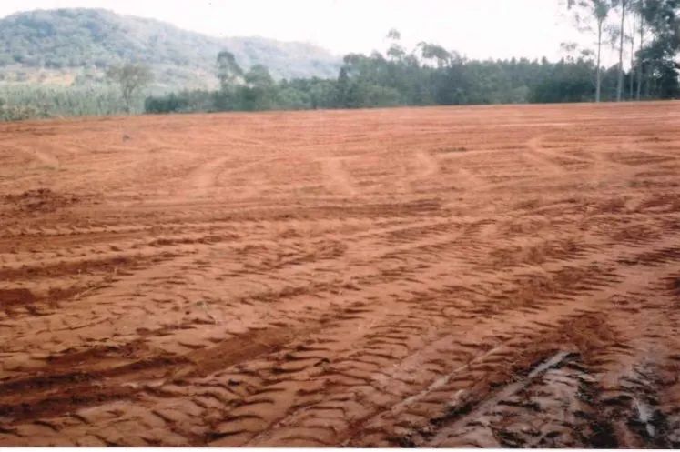 Terreno Padrão em Itirapina - Foto 4