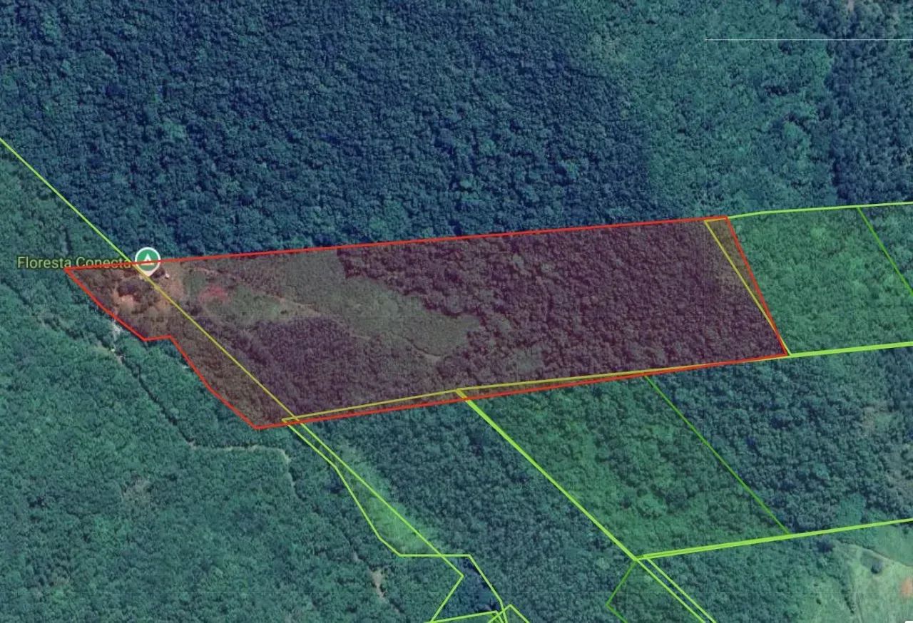 Propriedade Rural 9 Hectares - Turvo, SC - Foto 5