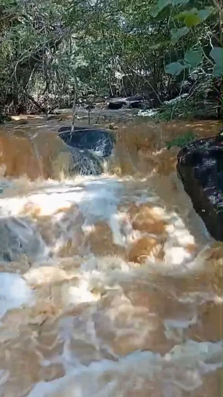 Sitio de 20,5 hectares a venda   - Foto 3