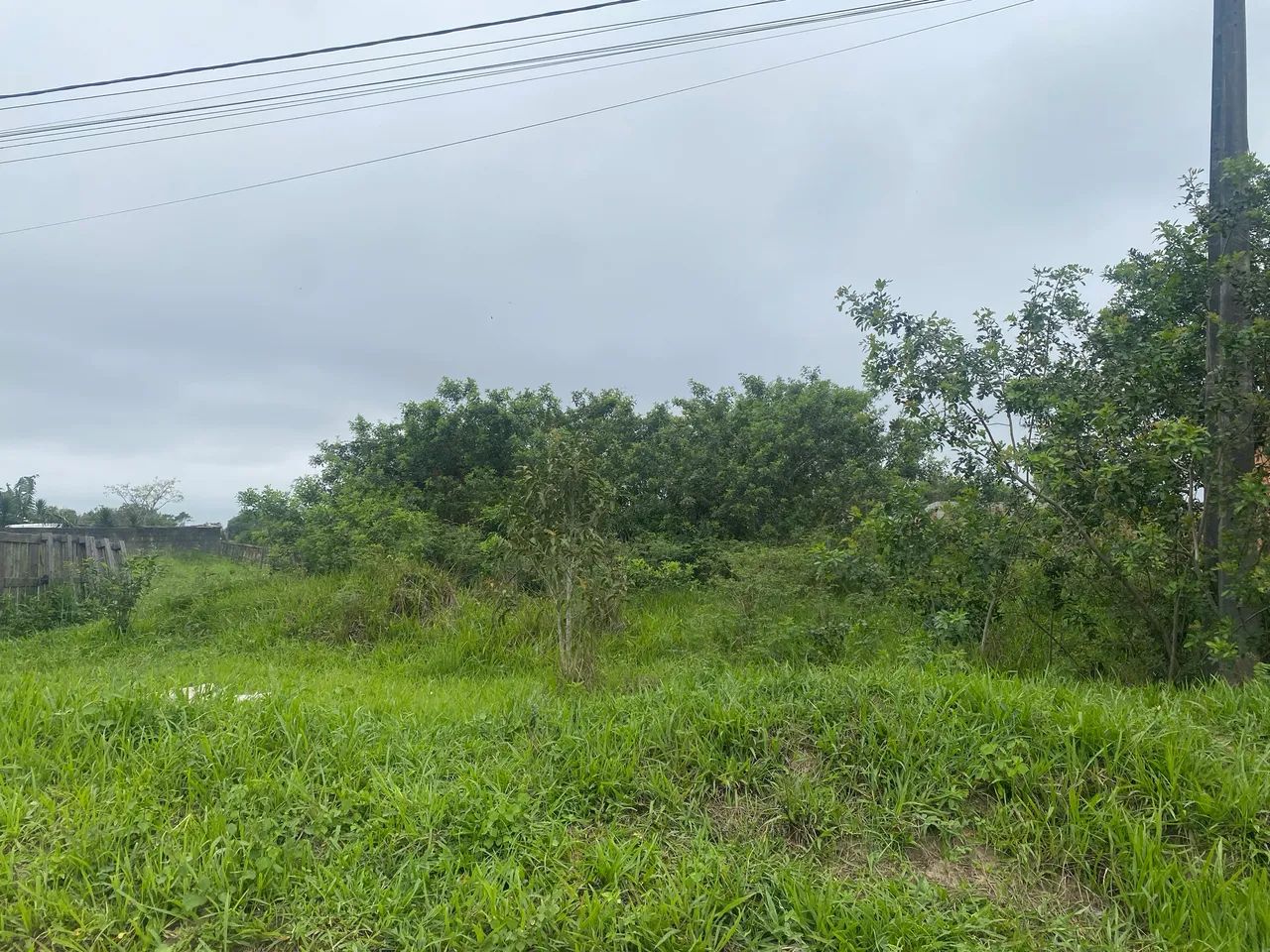 Terreno em Araruama com documento   - Foto 5
