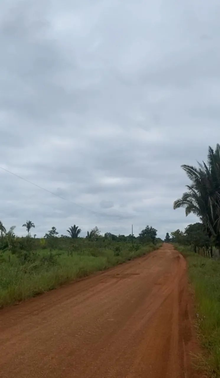 Sítio a 26 km de Porto Velho - Foto 4