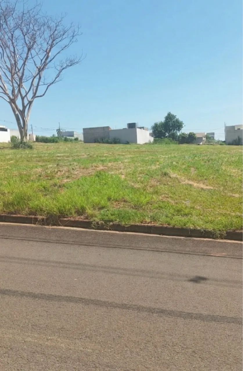 TERRENO A VENDA EM PORTO RICO - Foto 4