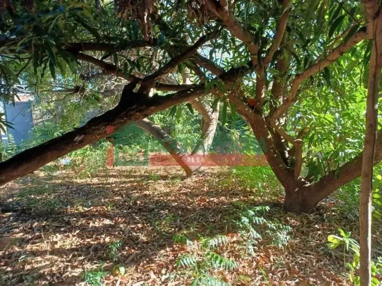 Terreno para alugar com 151,91 metros quadrados no SANTA ISABEL - Teresina - Piauí - Foto 2