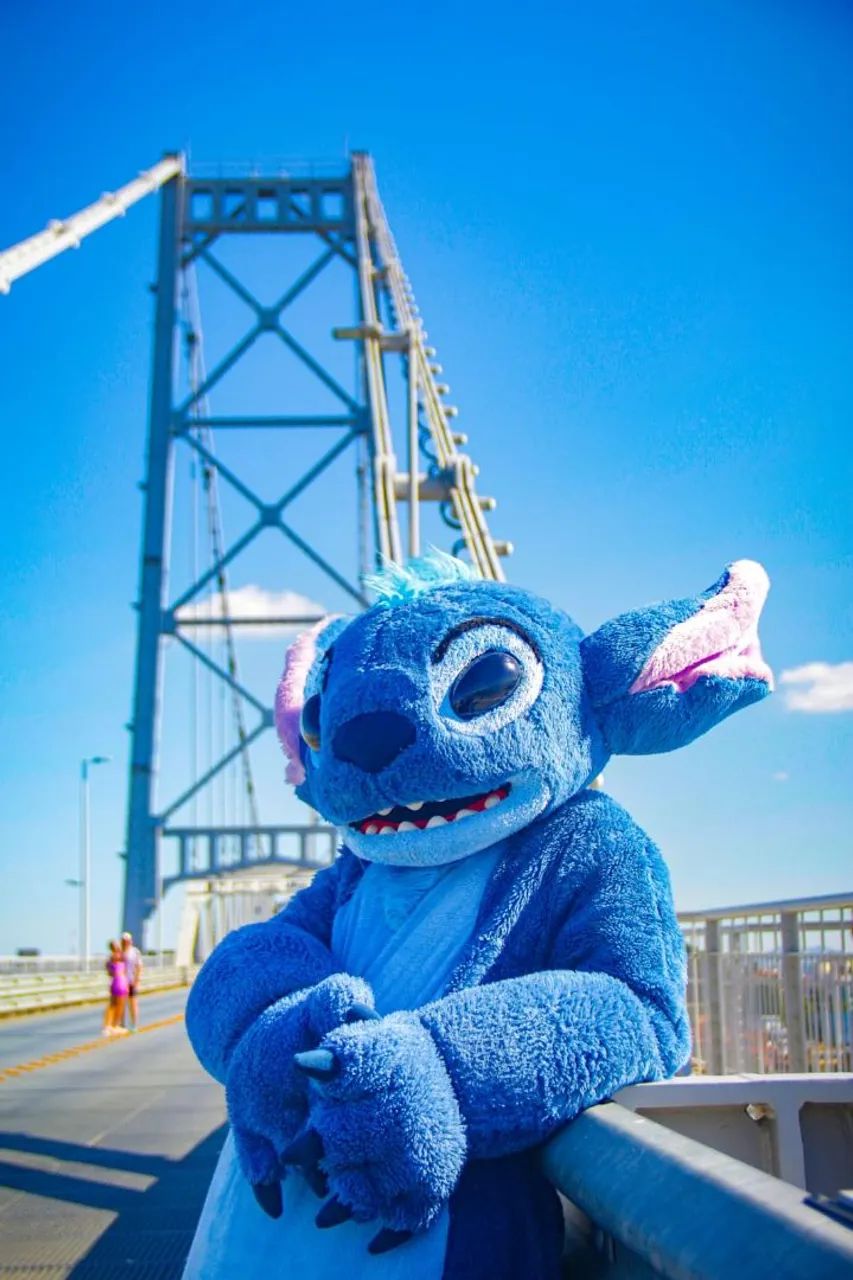 Stitch na sua festa - Foto 4