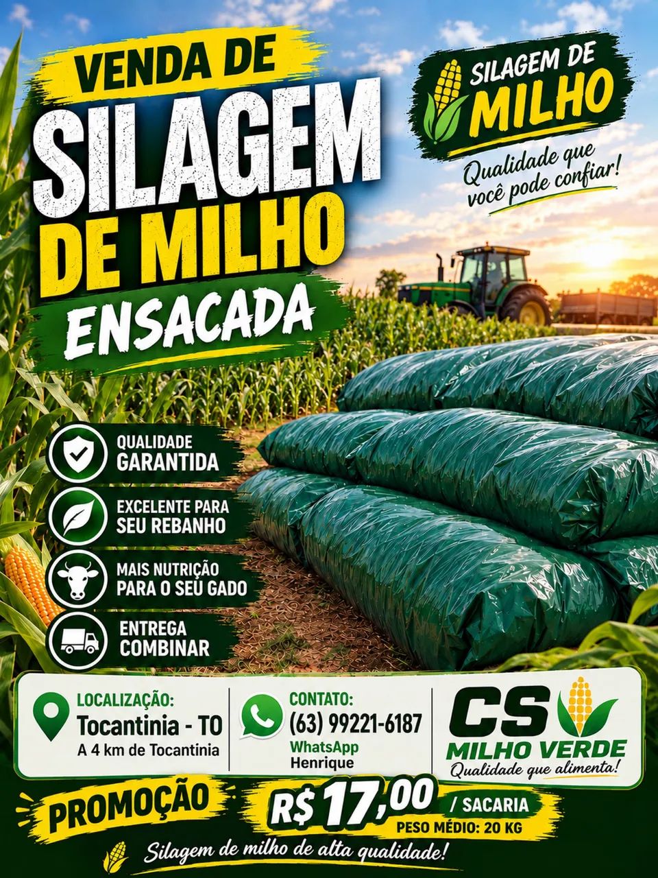 Venda Silagem de milho 