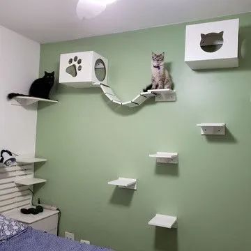 Nicho para gatos prateleira playgrounds - Foto 5
