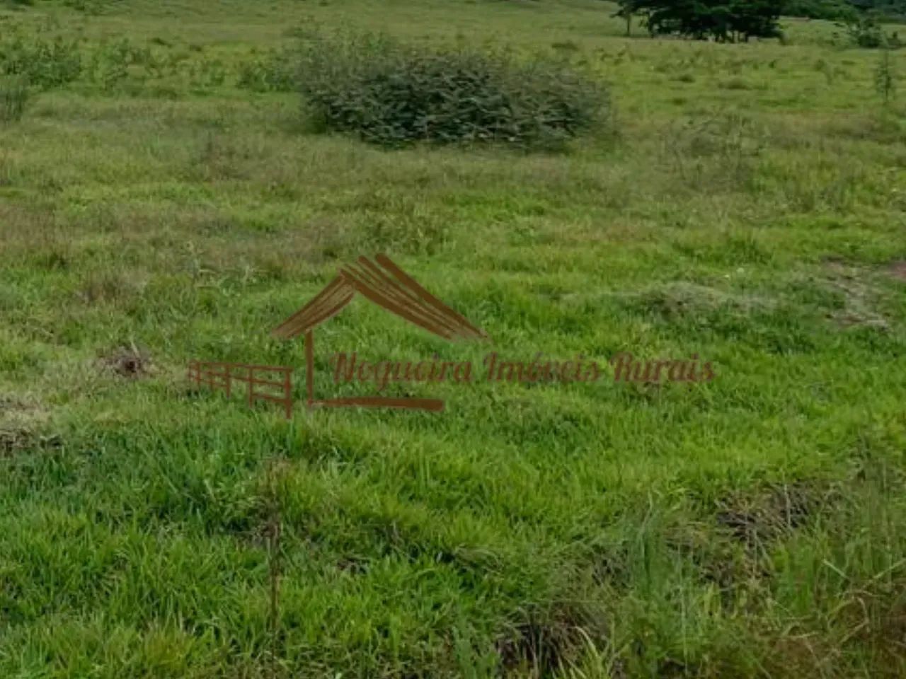 Fazenda com 137 alqueires em Garça-SP - Foto 5