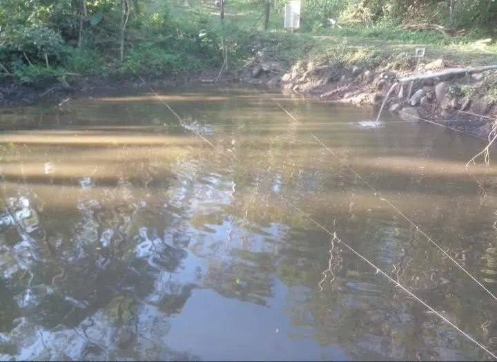 Foto - Piedade - Centro