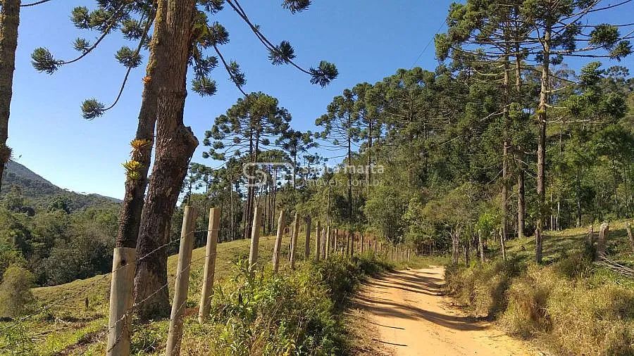 SÍTIO NA SERRA DA BOCAINA | CASA SIMPLES | S.J. BARREIRO SP - Foto 2