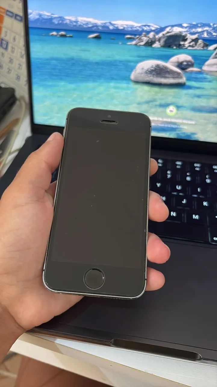 IPHONE 5s Cinza